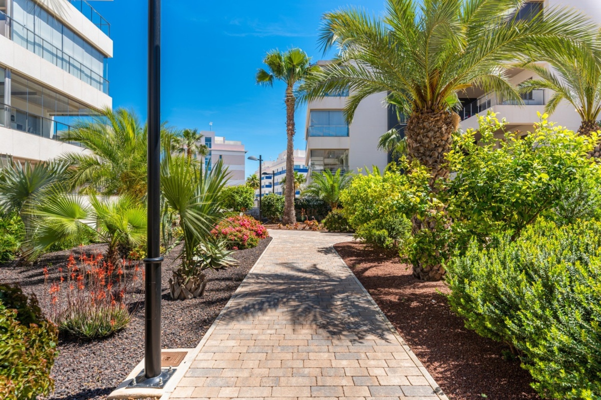Wiederverkauf - apartment - Orihuela - Villamartin
