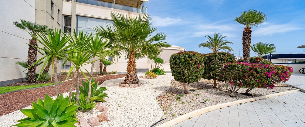Wiederverkauf - apartment - Orihuela - Villamartin