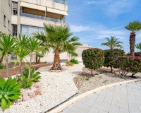 Wiederverkauf - apartment - Orihuela - Villamartin