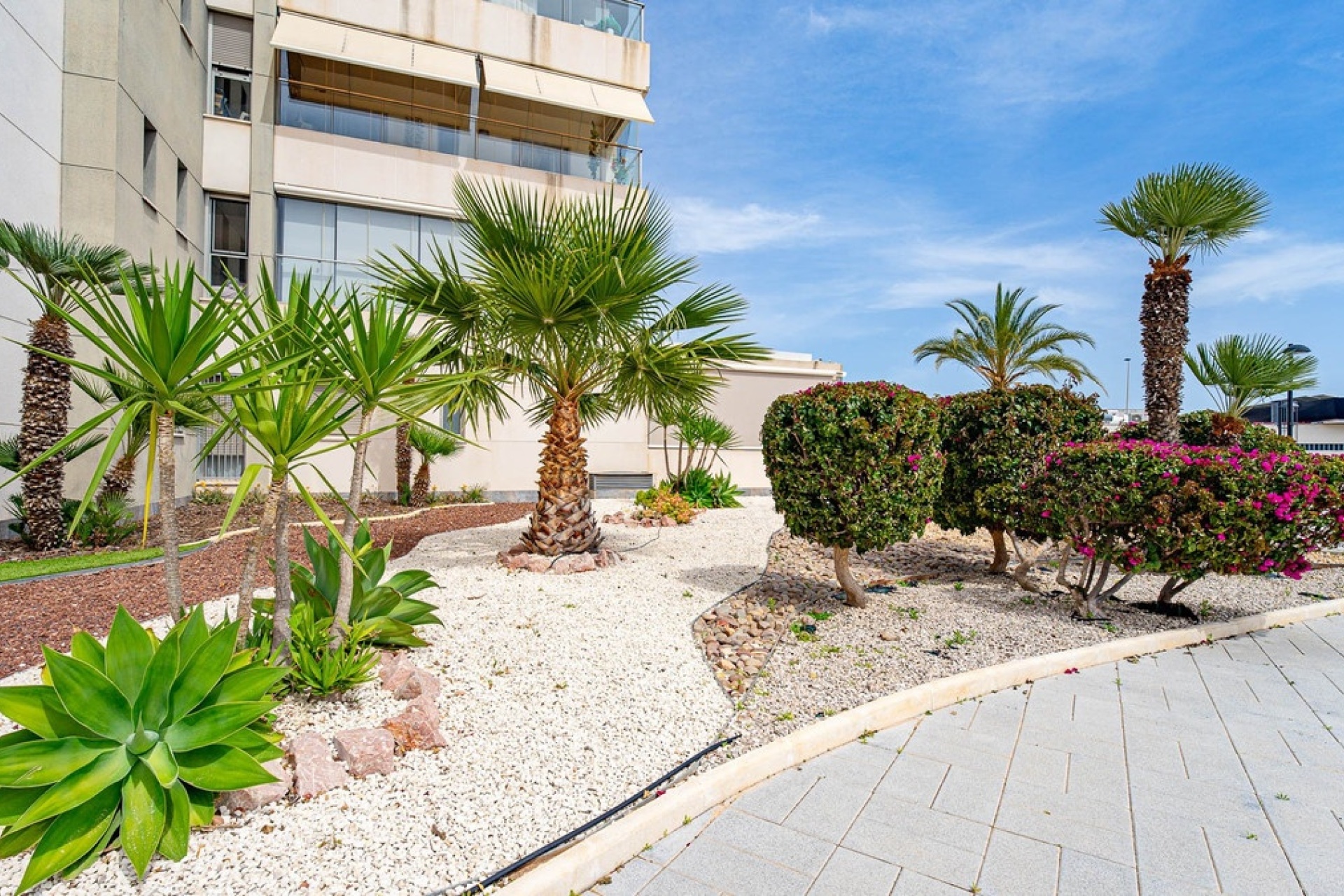 Wiederverkauf - apartment - Orihuela - Villamartin