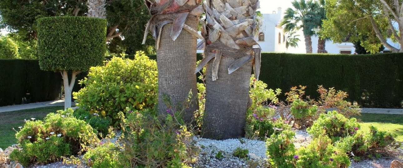 Wiederverkauf - apartment - Orihuela - Villamartin