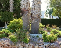 Wiederverkauf - apartment - Orihuela - Villamartin