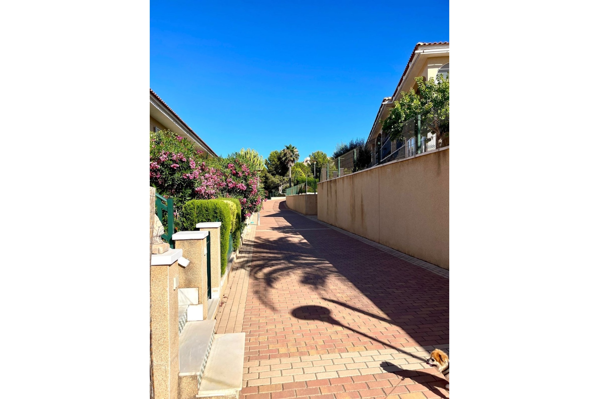 Wiederverkauf - apartment - Santa Pola - Gran Alacant