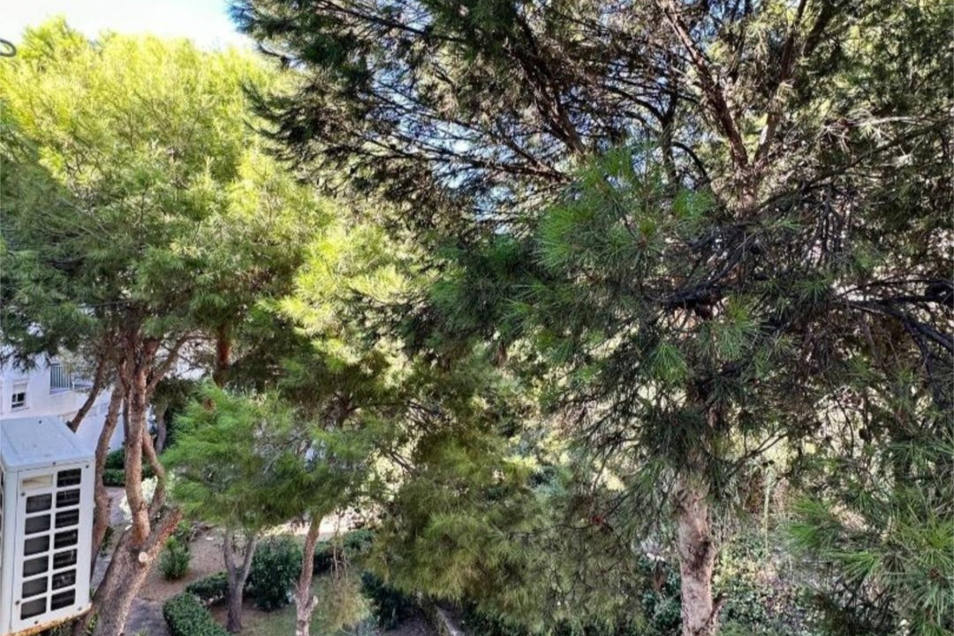 Wiederverkauf - apartment - Torremolinos - La Carihuela