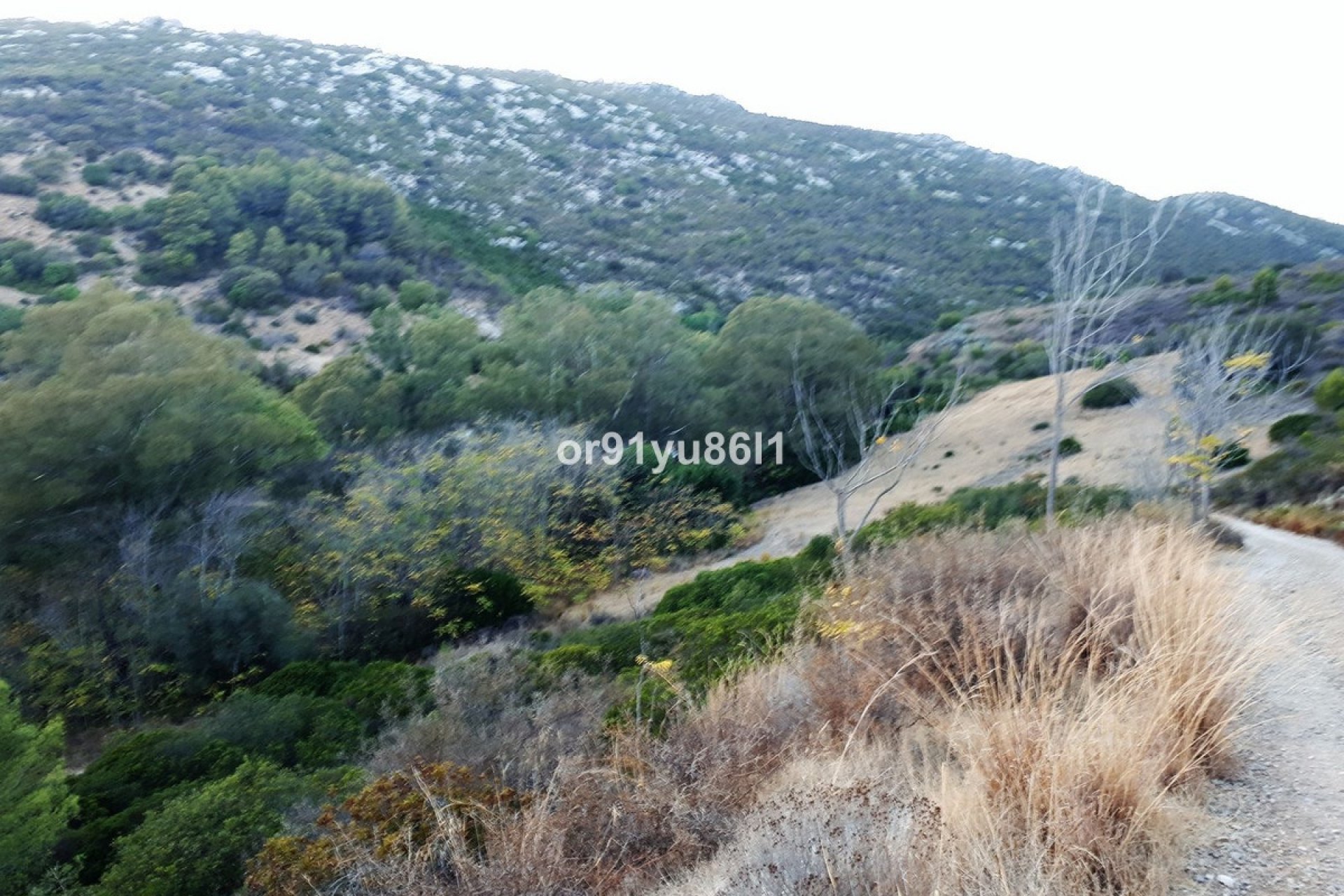 Wiederverkauf - Country house - Casares - Casares Centro