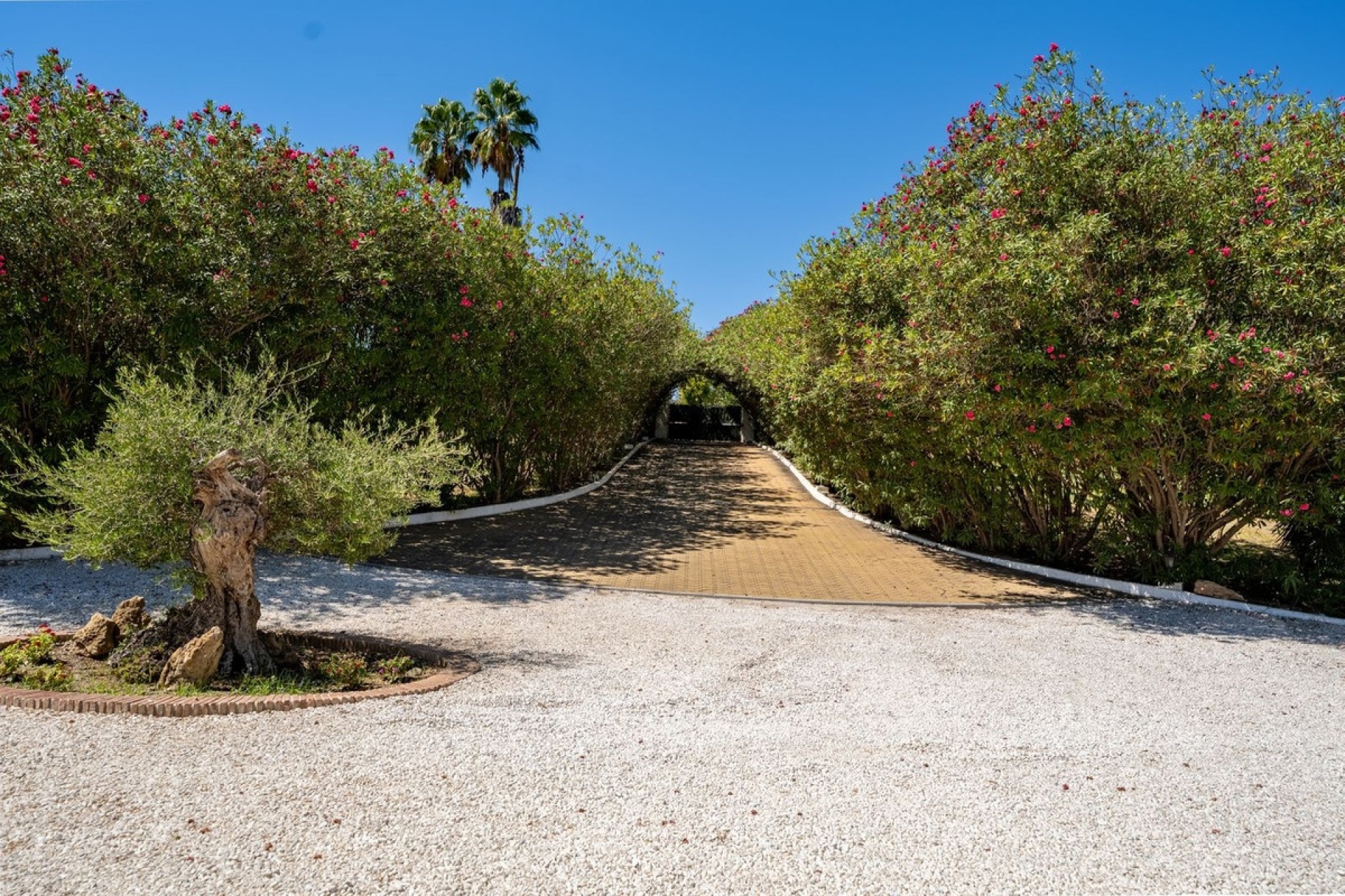 Wiederverkauf - Country house - Estepona - Cancelada