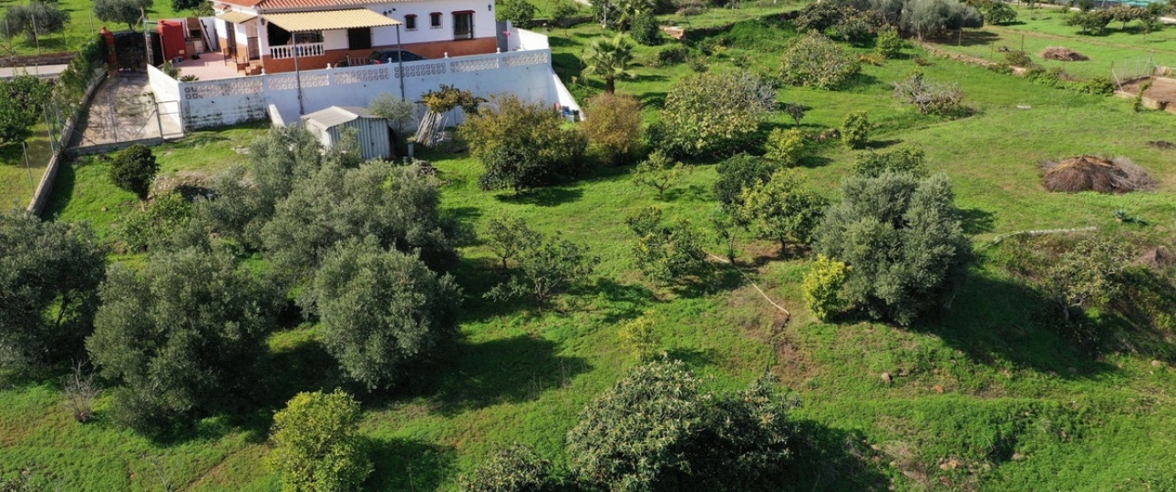 Wiederverkauf - Country house - Estepona - El Padron