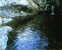 Wiederverkauf - Country house - Estepona - Estepona Centro