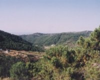 Wiederverkauf - Country house - Estepona - Estepona Centro