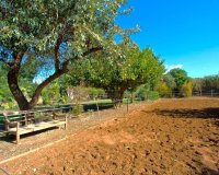 Wiederverkauf - Country house - Estepona - Estepona Centro