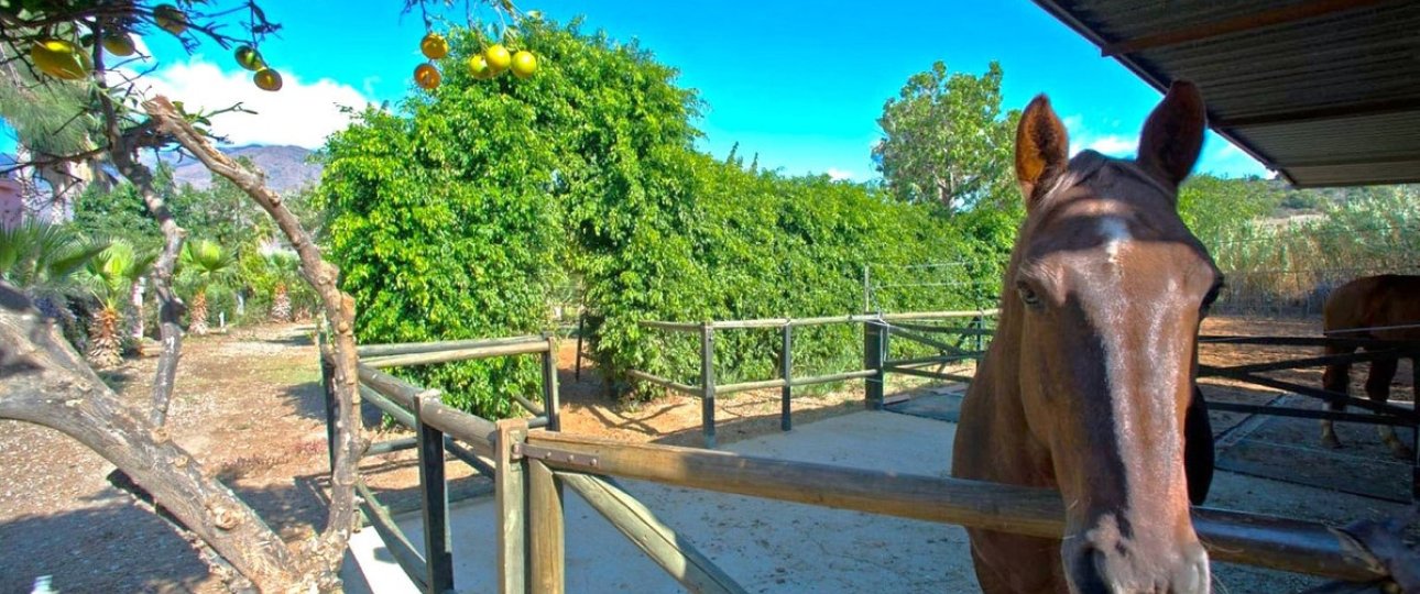 Wiederverkauf - Country house - Estepona - Estepona Centro