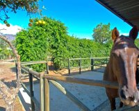 Wiederverkauf - Country house - Estepona - Estepona Centro