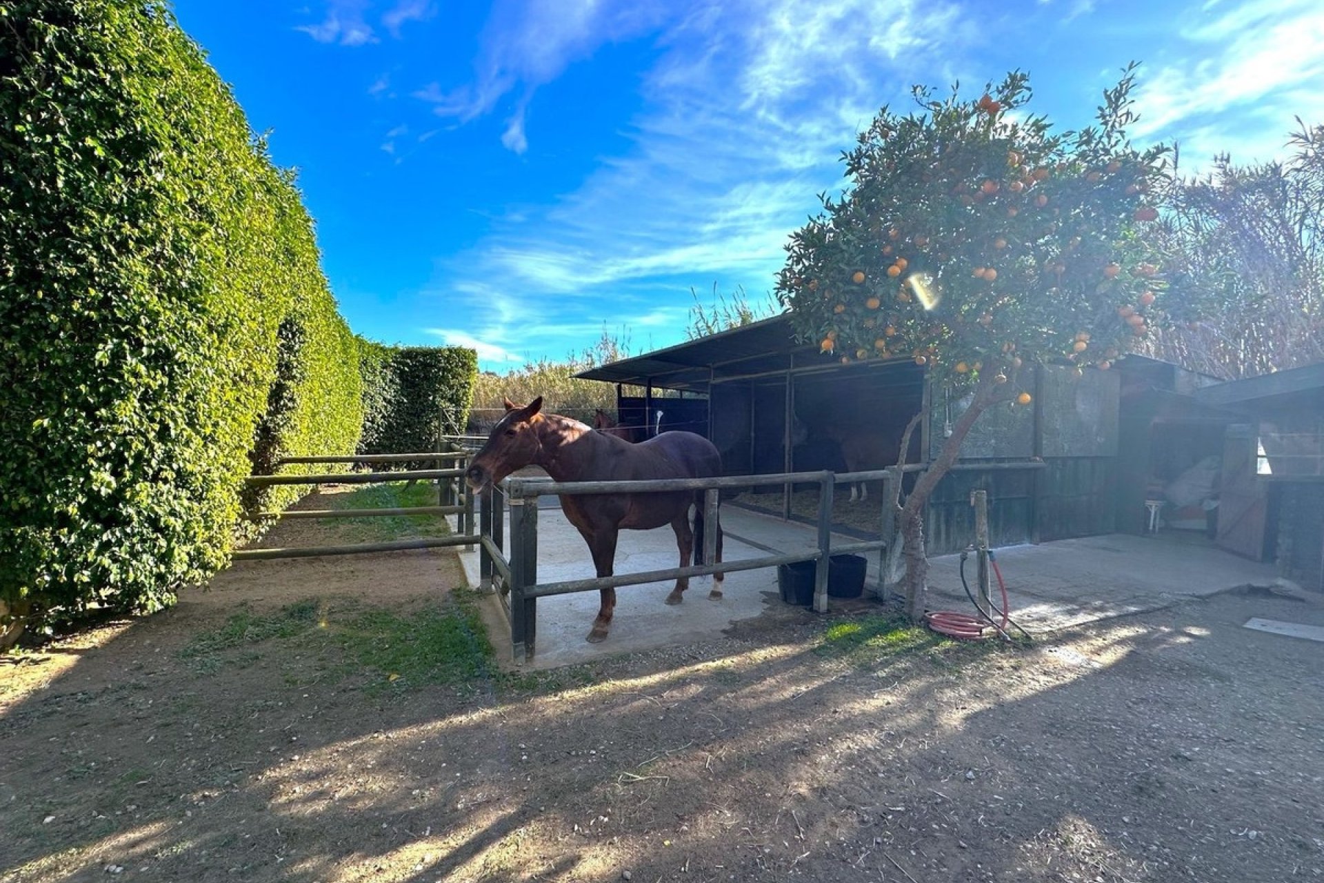 Wiederverkauf - Country house - Estepona - Estepona Centro