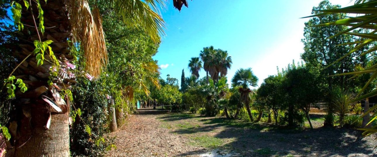 Wiederverkauf - Country house - Estepona - Estepona Centro