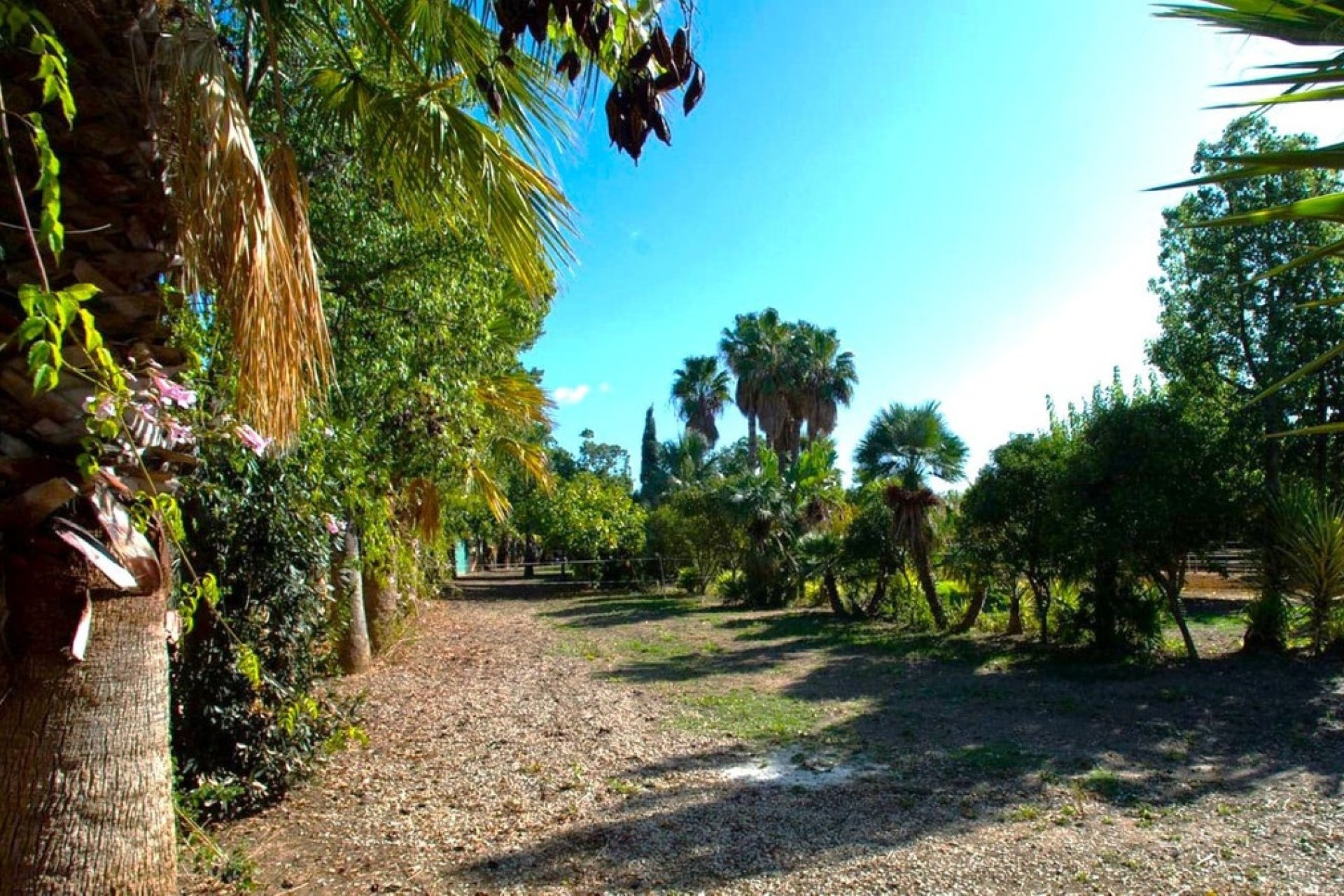 Wiederverkauf - Country house - Estepona - Estepona Centro