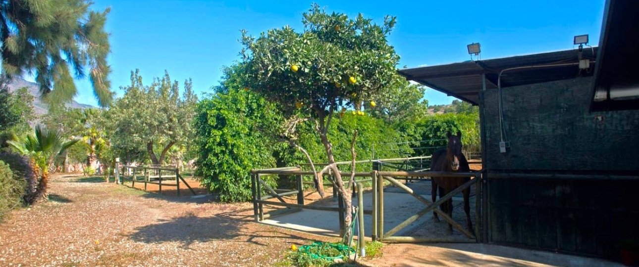 Wiederverkauf - Country house - Estepona - Estepona Centro