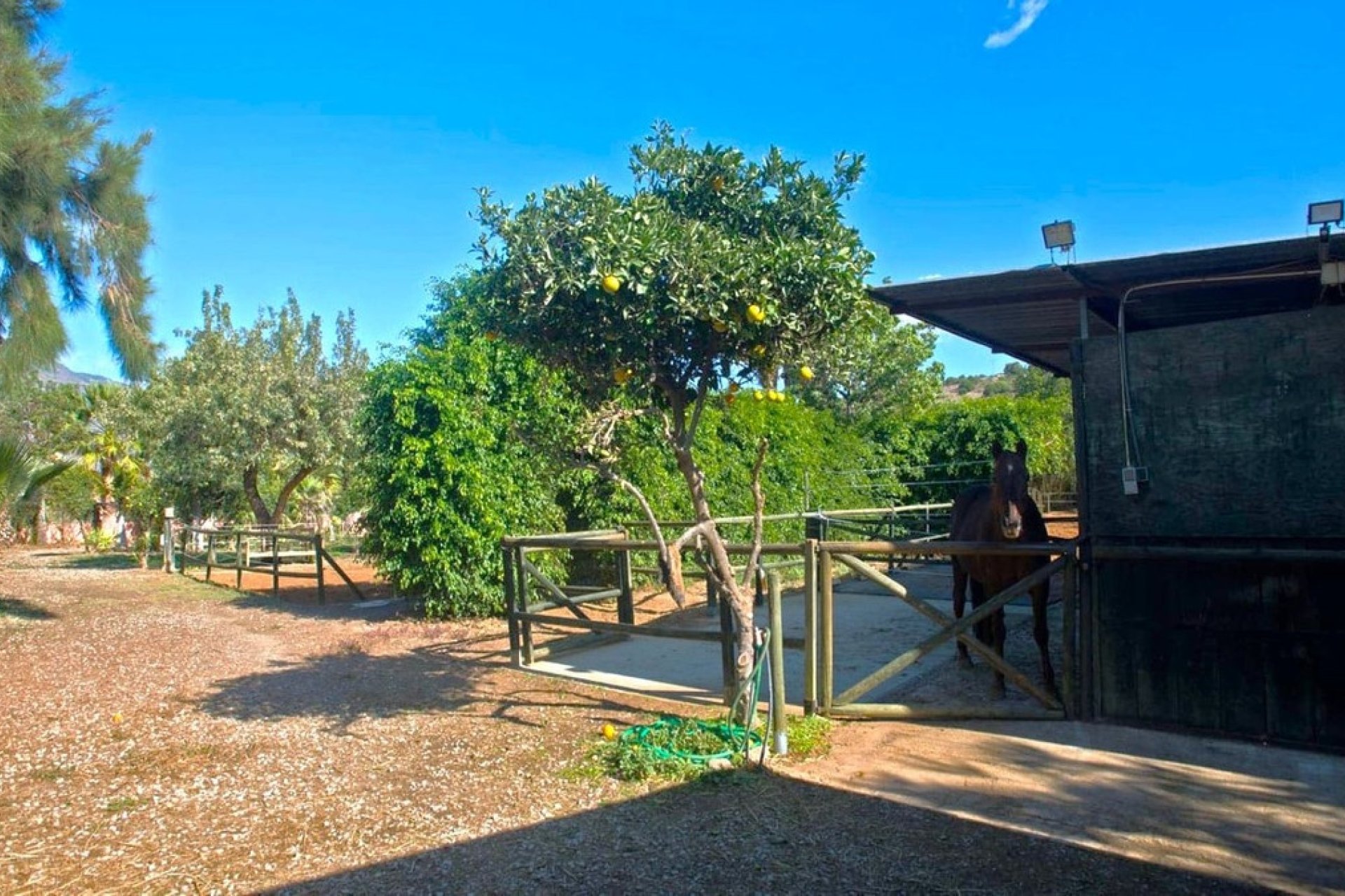 Wiederverkauf - Country house - Estepona - Estepona Centro