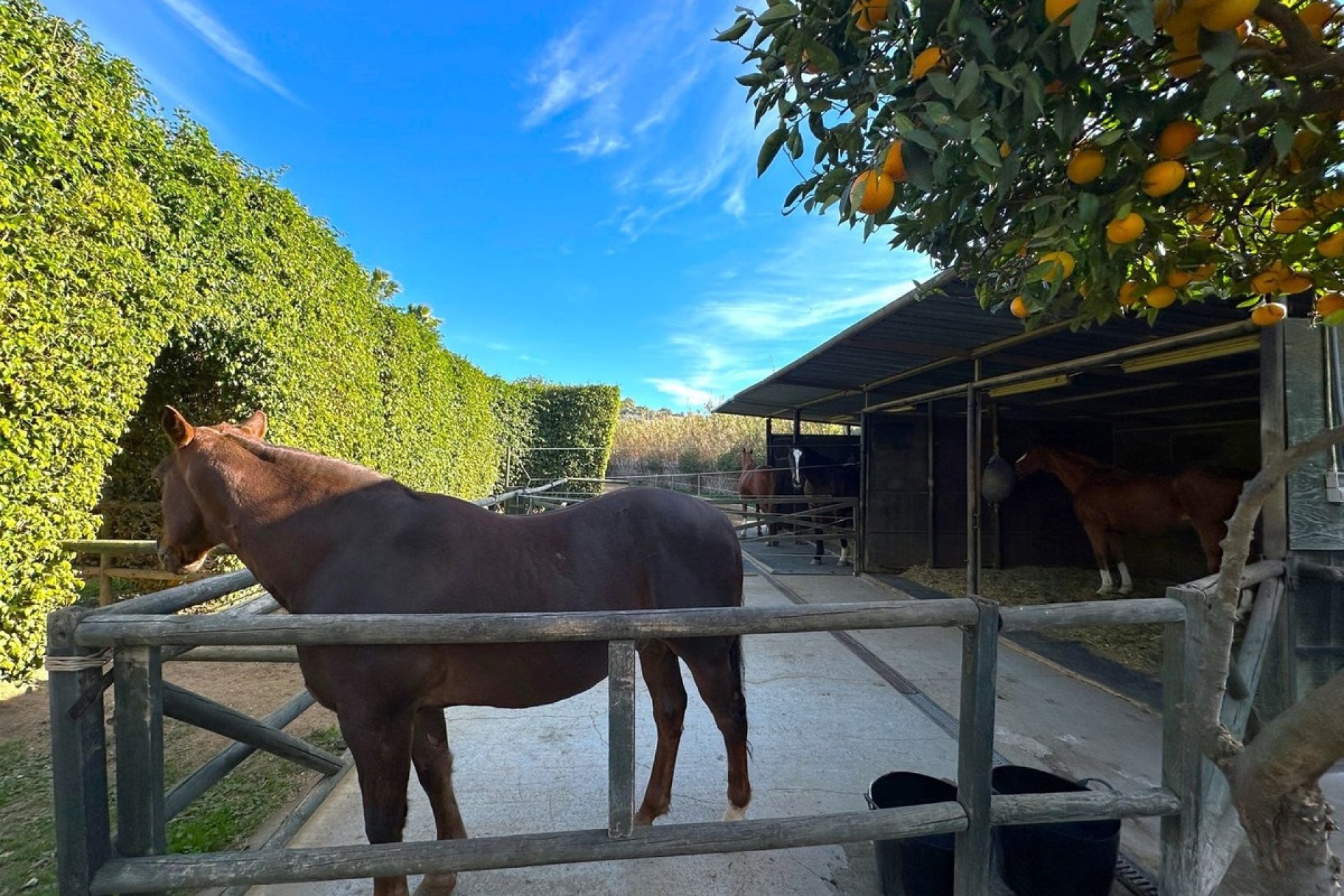Wiederverkauf - Country house - Estepona - Estepona Centro