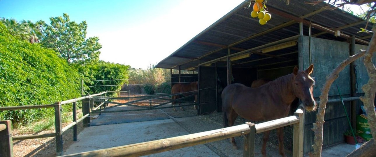 Wiederverkauf - Country house - Estepona - Estepona Centro