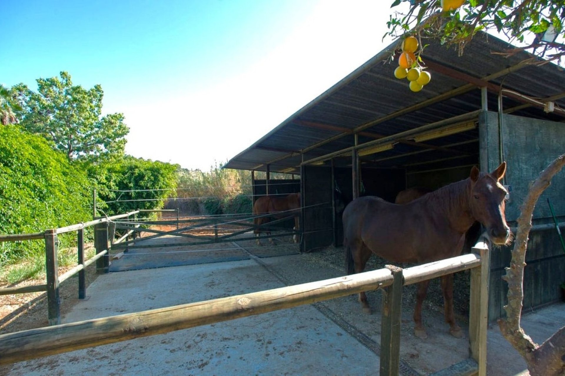 Wiederverkauf - Country house - Estepona - Estepona Centro
