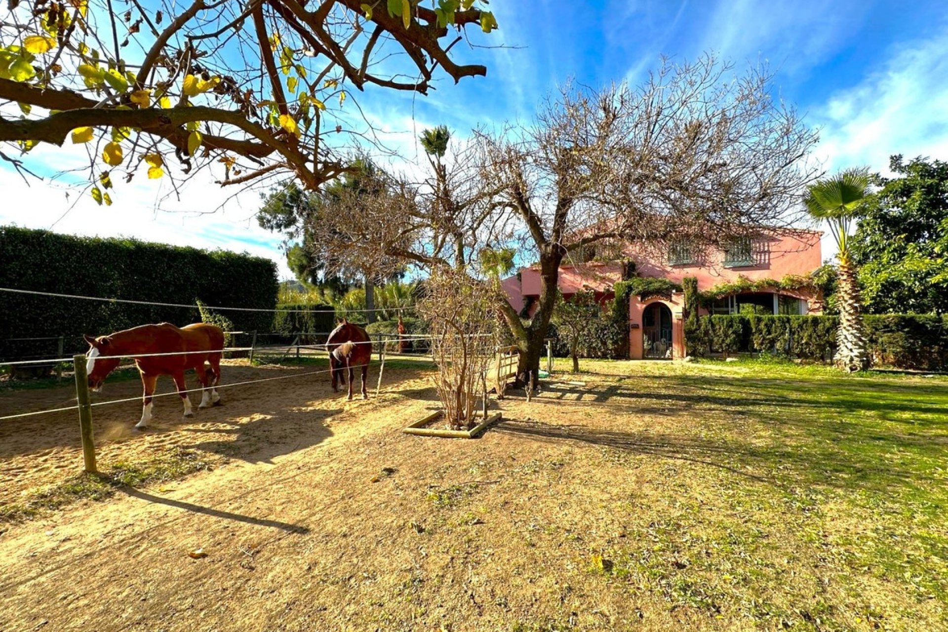 Wiederverkauf - Country house - Estepona - Estepona Centro