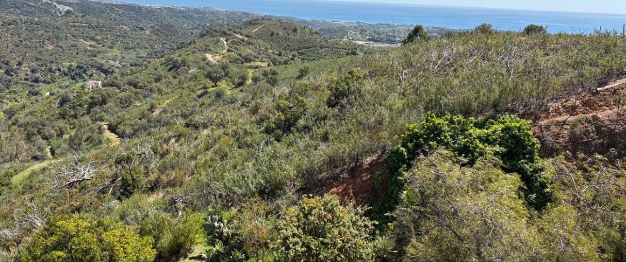 Wiederverkauf - Country house - Estepona - Estepona Centro