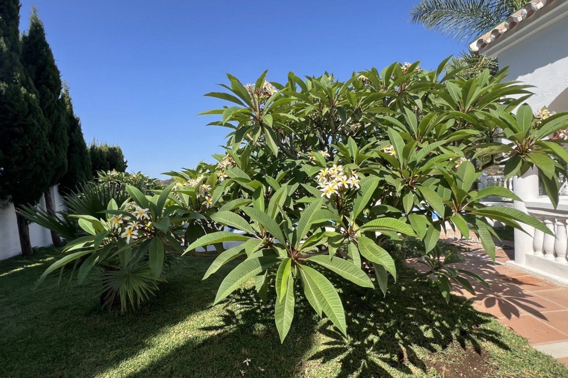 Wiederverkauf - Country house - Estepona - Estepona Centro