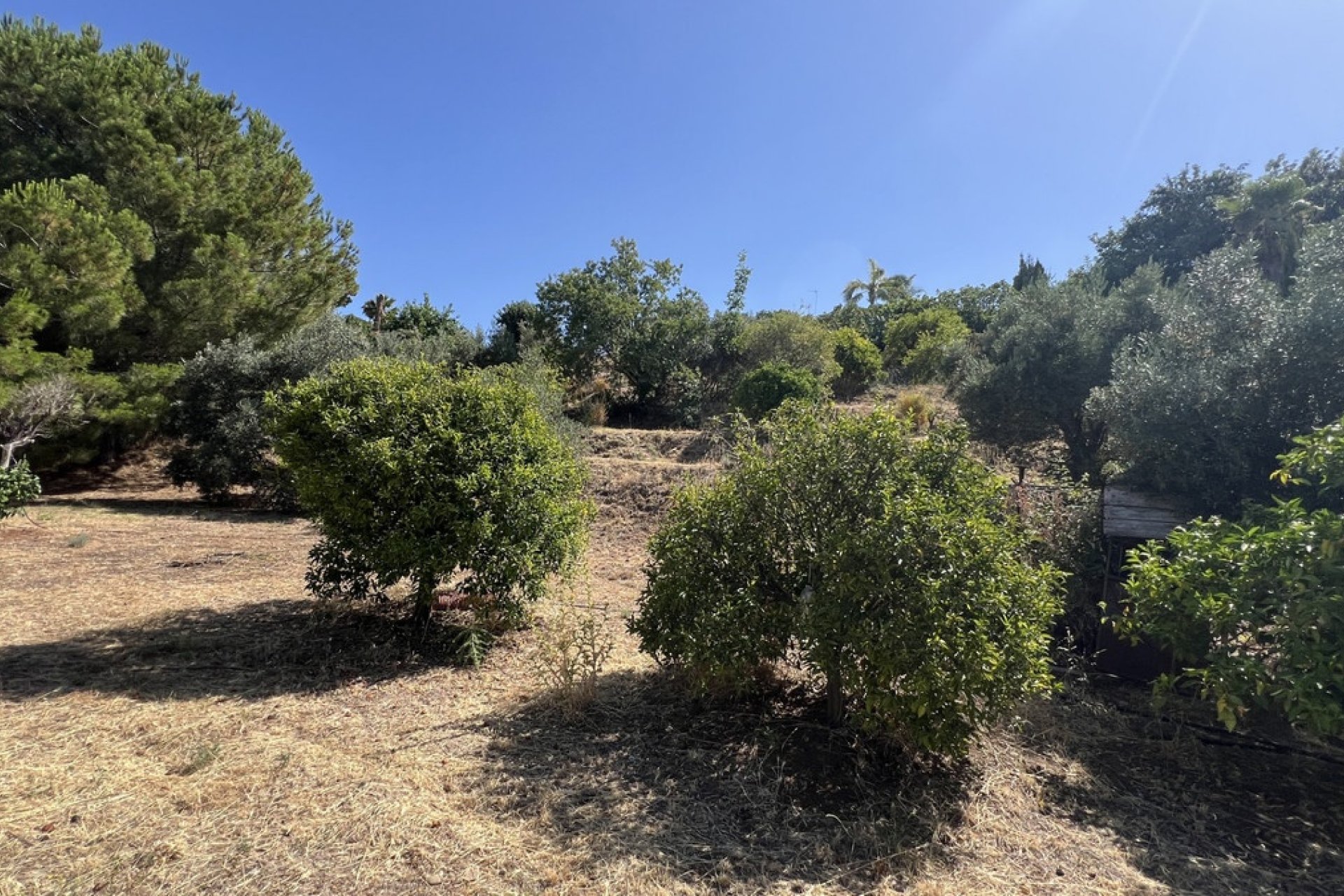 Wiederverkauf - Country house - Estepona - Estepona Centro