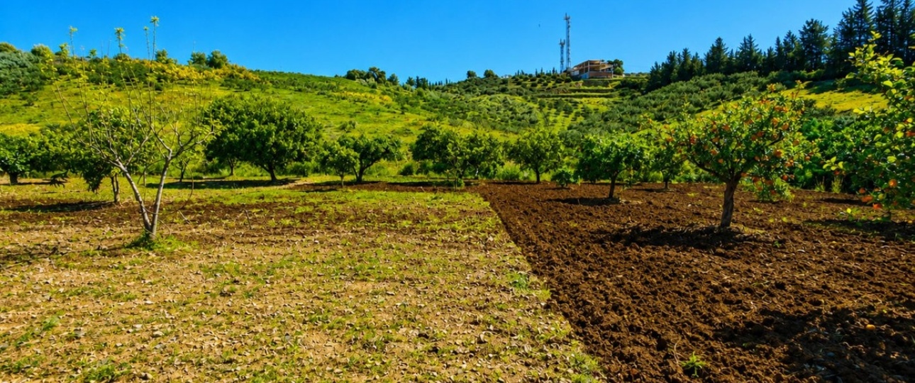 Wiederverkauf - Country house - Estepona - Estepona Centro