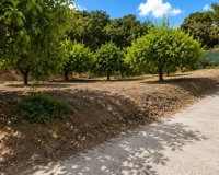 Wiederverkauf - Country house - Estepona - Estepona Centro