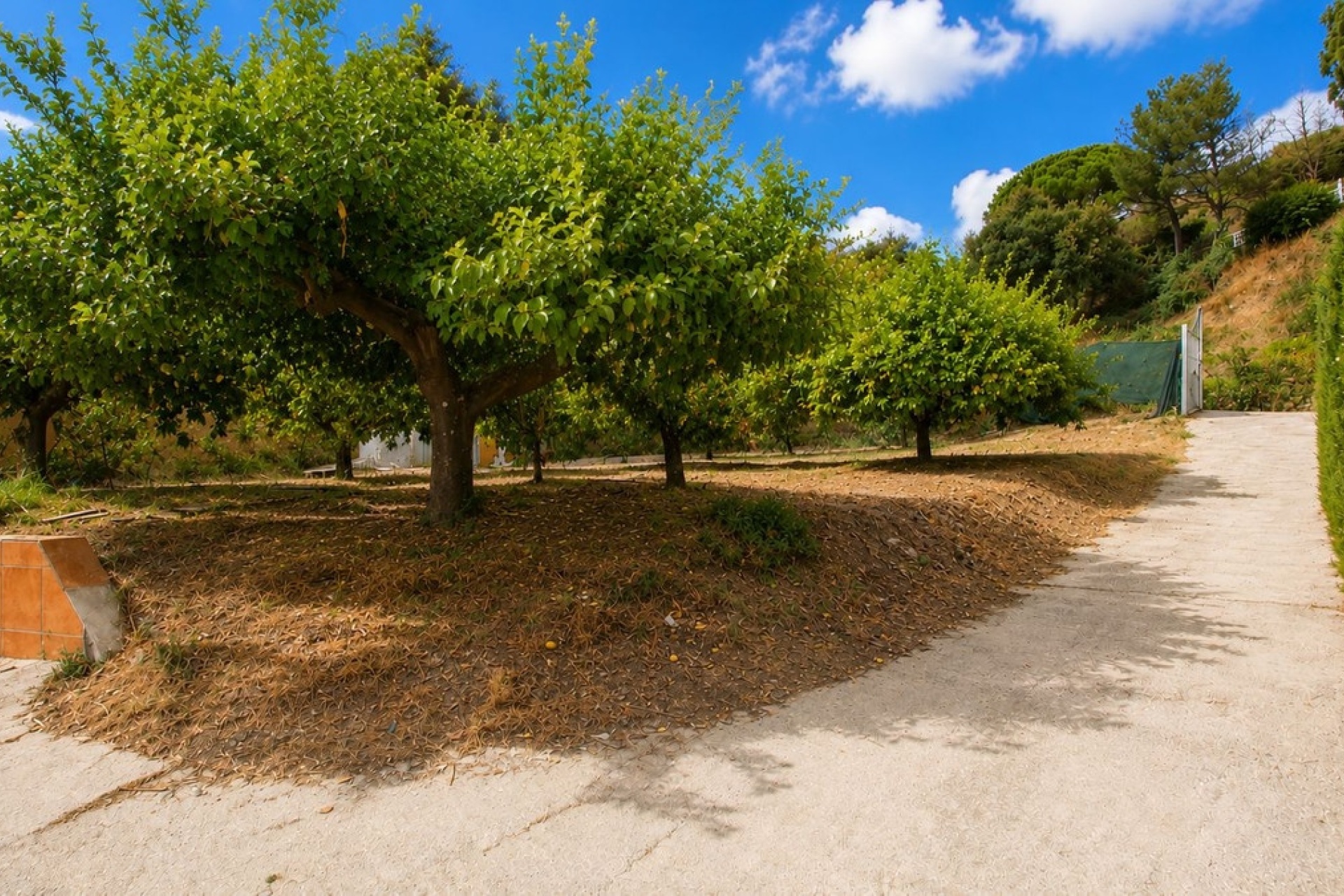 Wiederverkauf - Country house - Estepona - Estepona Centro