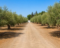 Wiederverkauf - Country house - Estepona - Estepona Centro
