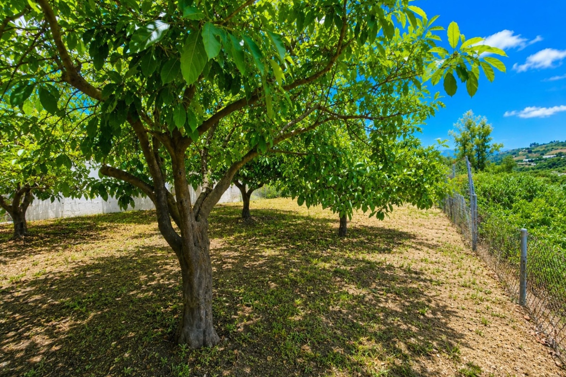 Wiederverkauf - Country house - Estepona - Estepona Centro
