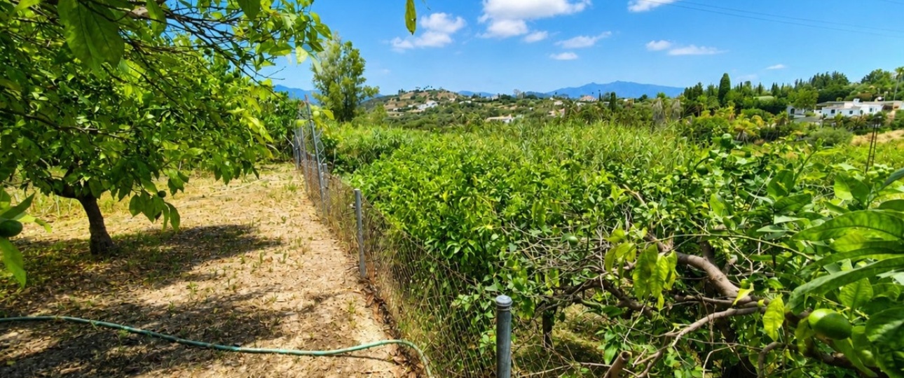 Wiederverkauf - Country house - Estepona - Estepona Centro