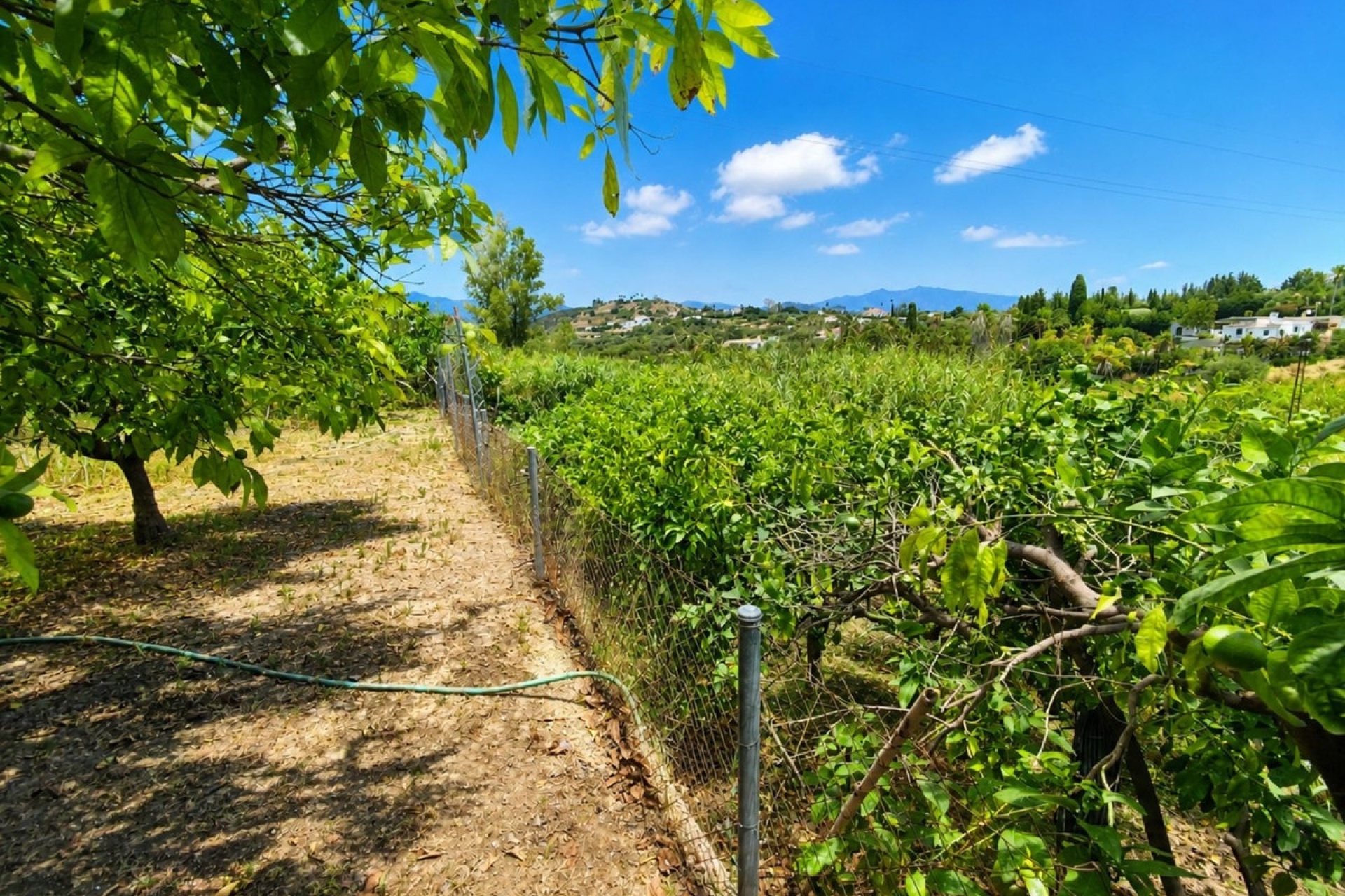 Wiederverkauf - Country house - Estepona - Estepona Centro