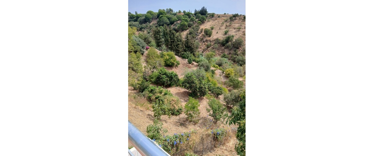Wiederverkauf - Country house - Estepona - Estepona Centro