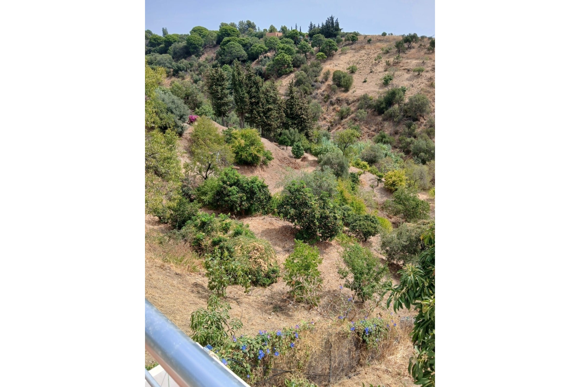 Wiederverkauf - Country house - Estepona - Estepona Centro