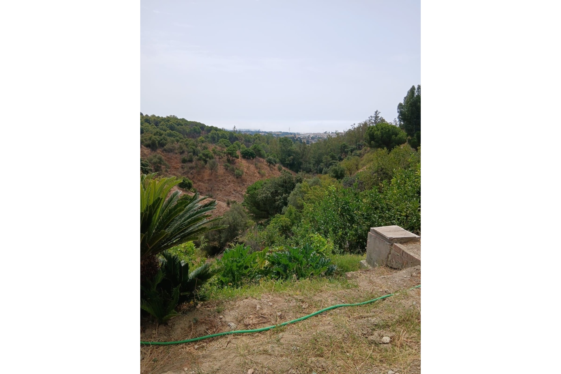 Wiederverkauf - Country house - Estepona - Estepona Centro
