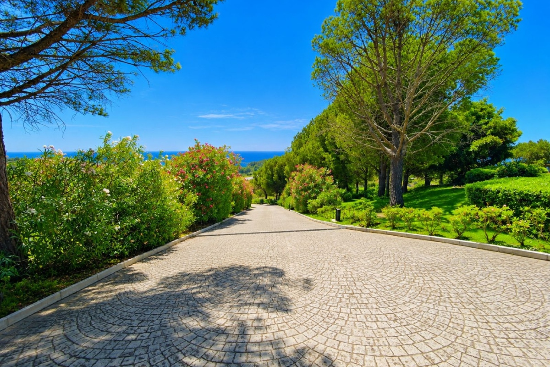 Wiederverkauf - Country house - Estepona - Estepona Centro