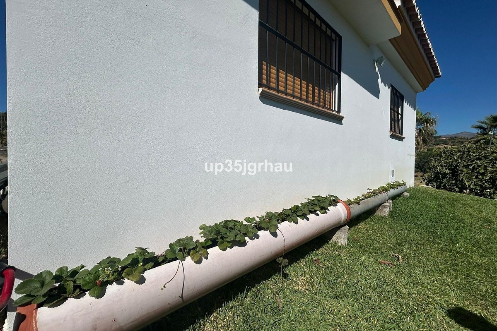 Wiederverkauf - Country house - Estepona - Estepona Centro