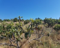 Wiederverkauf - Country house - Estepona - Estepona Centro