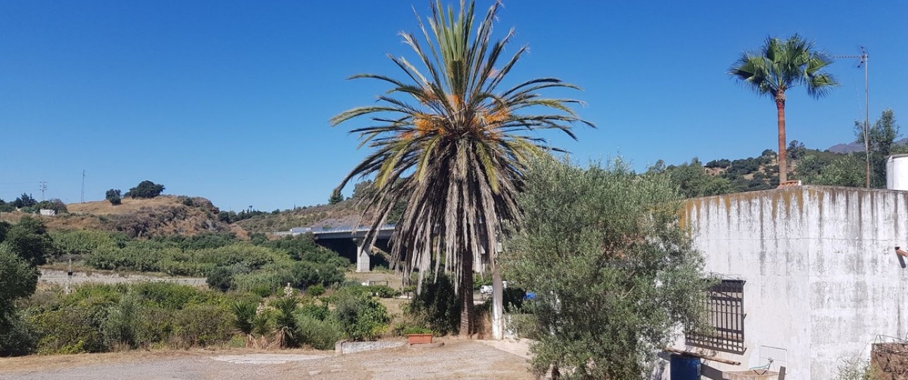 Wiederverkauf - Country house - Estepona - Estepona Centro