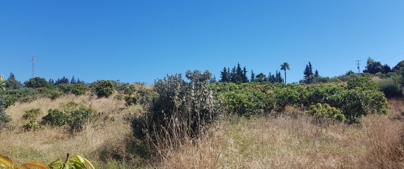 Wiederverkauf - Country house - Estepona - Estepona Centro
