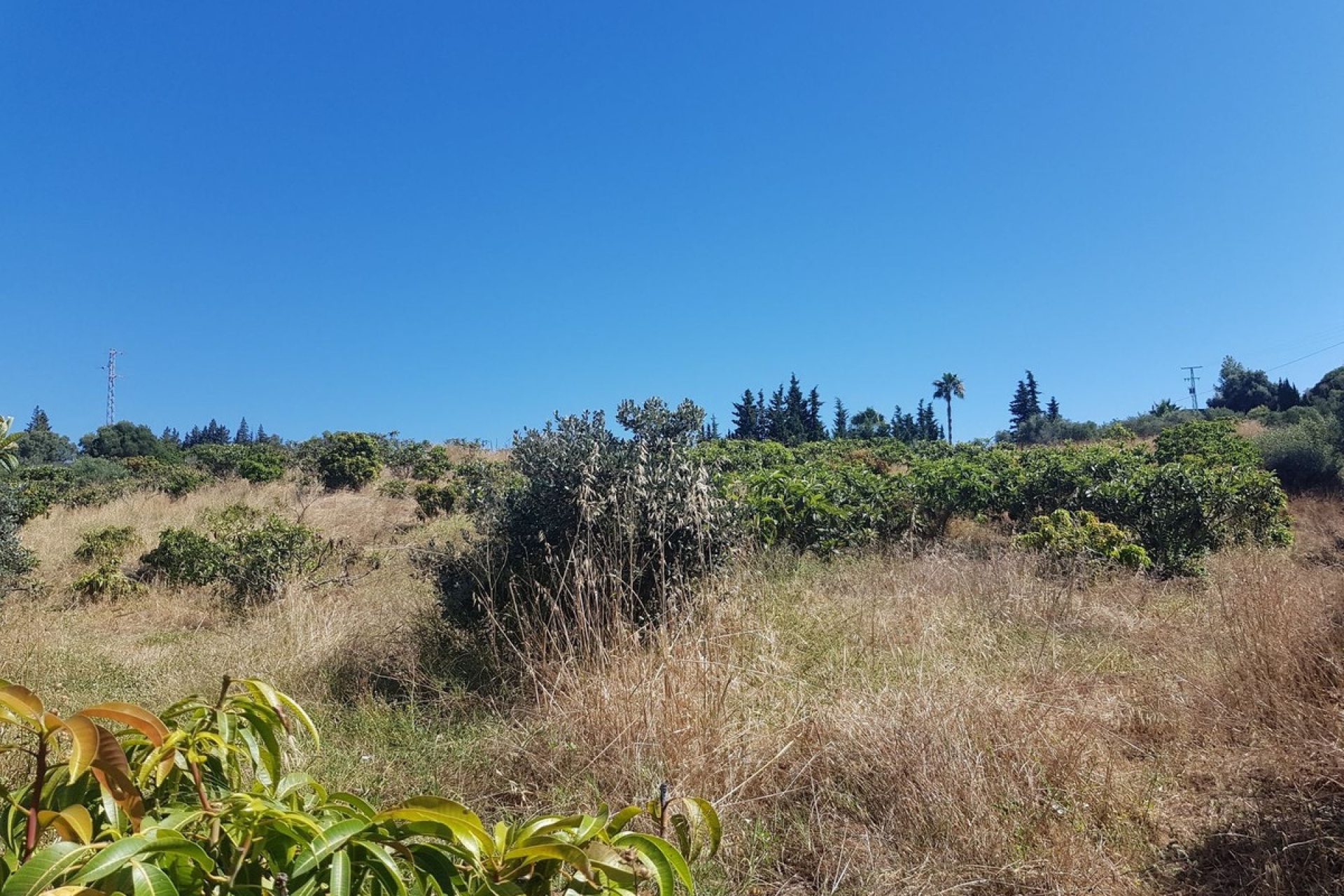 Wiederverkauf - Country house - Estepona - Estepona Centro