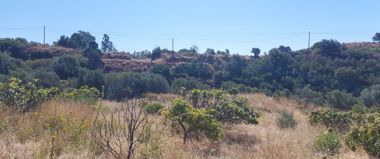 Wiederverkauf - Country house - Estepona - Estepona Centro