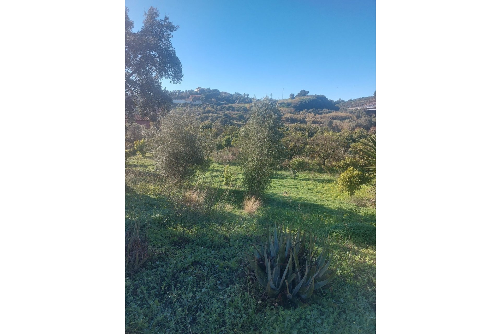 Wiederverkauf - Country house - Estepona - Estepona Centro