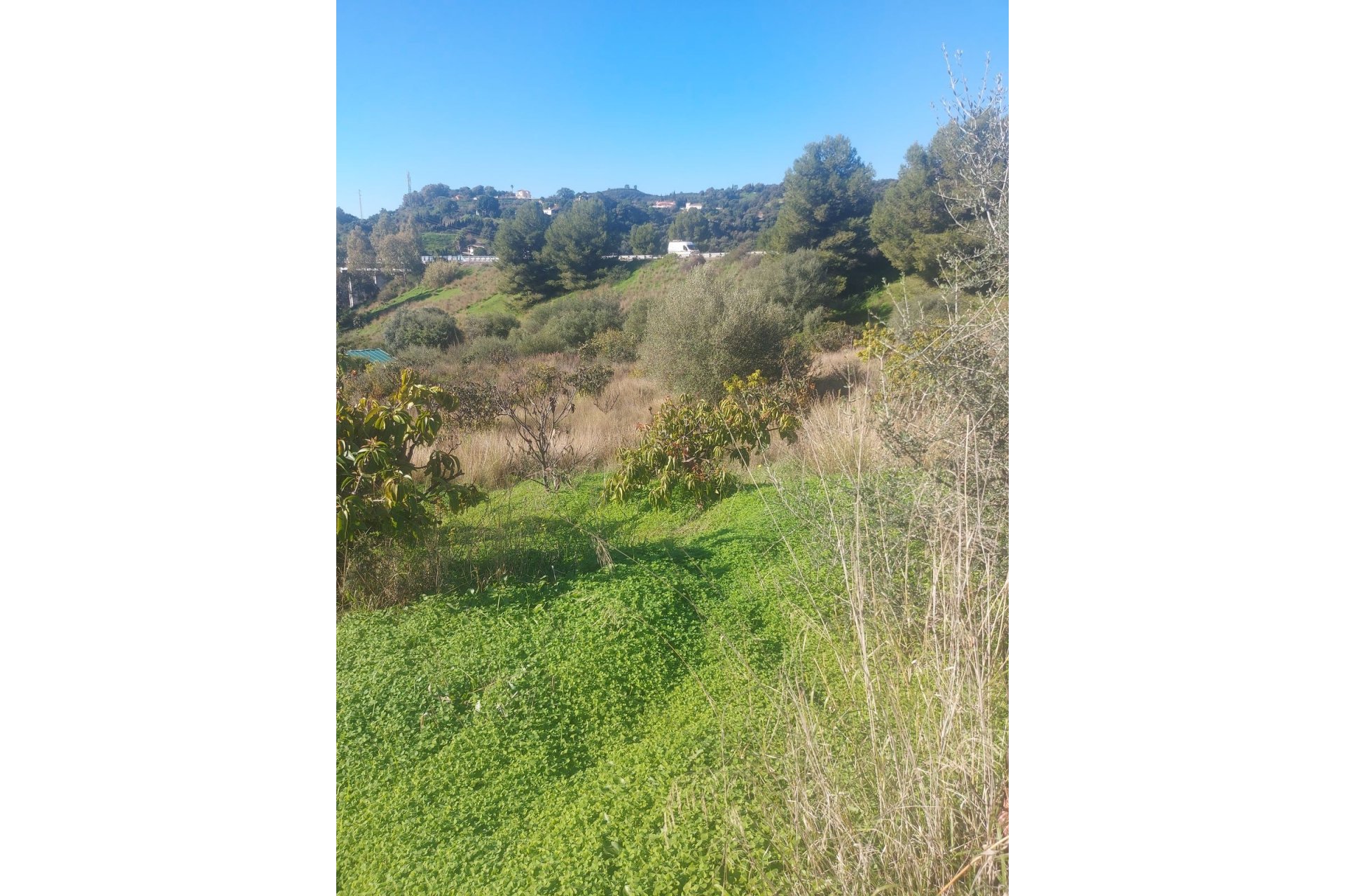 Wiederverkauf - Country house - Estepona - Estepona Centro