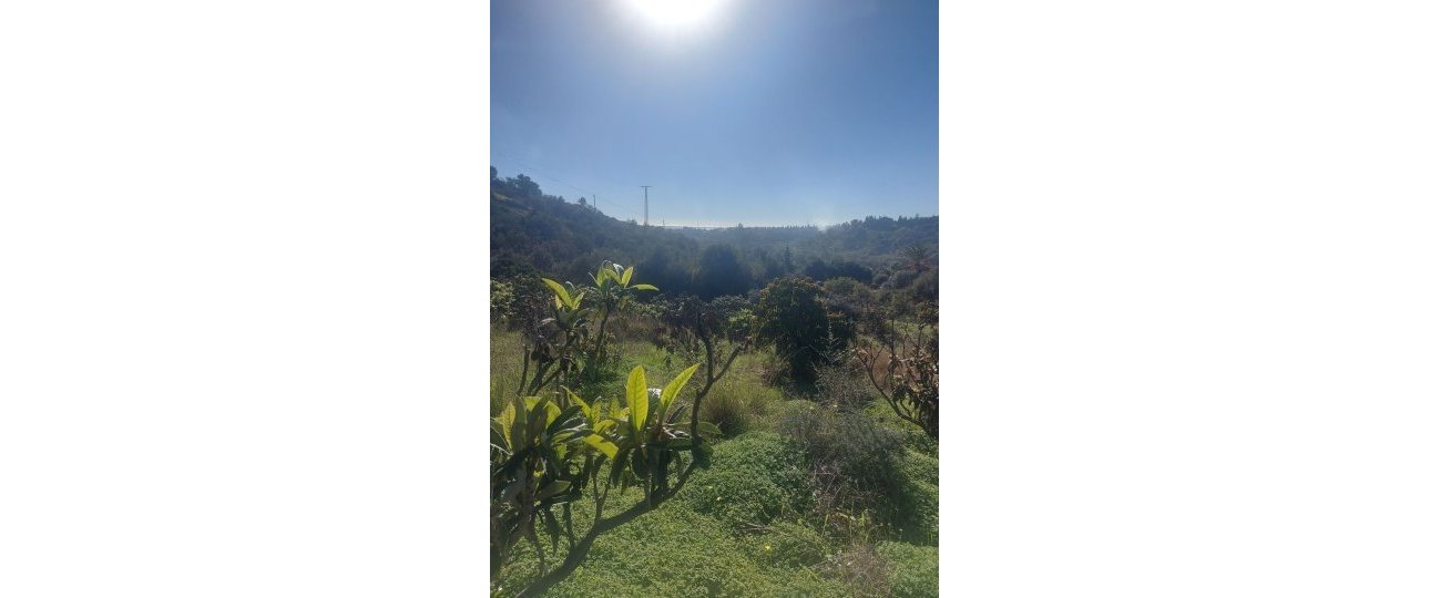 Wiederverkauf - Country house - Estepona - Estepona Centro