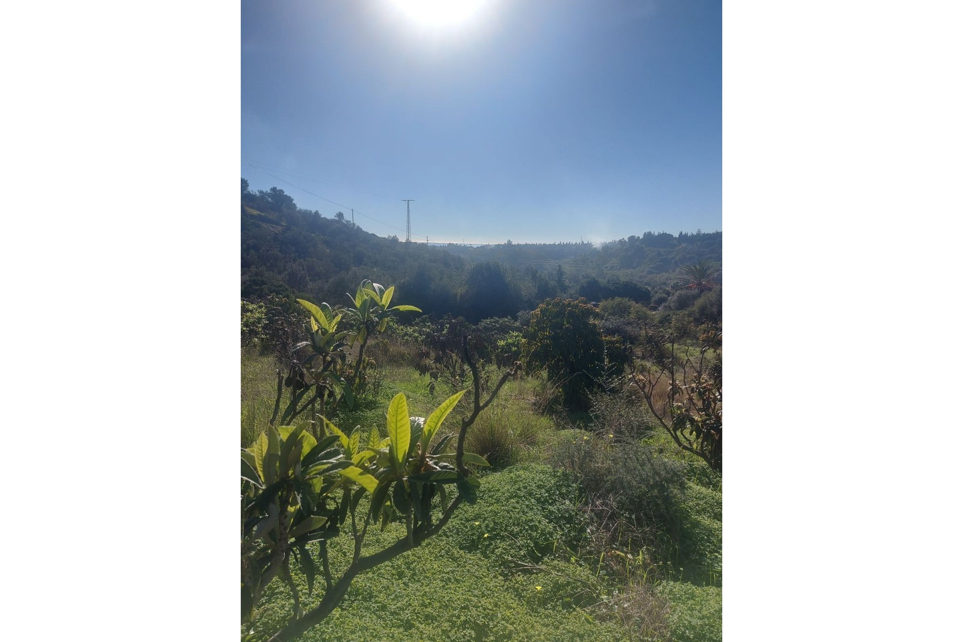 Wiederverkauf - Country house - Estepona - Estepona Centro