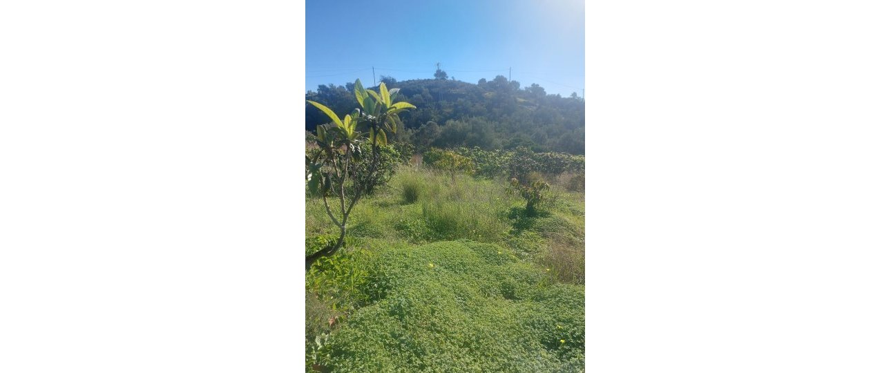 Wiederverkauf - Country house - Estepona - Estepona Centro